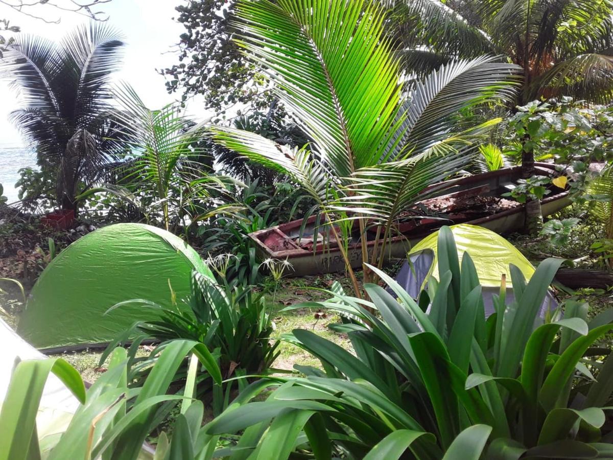 Port Antonio Brian'S Beach House 外观 照片