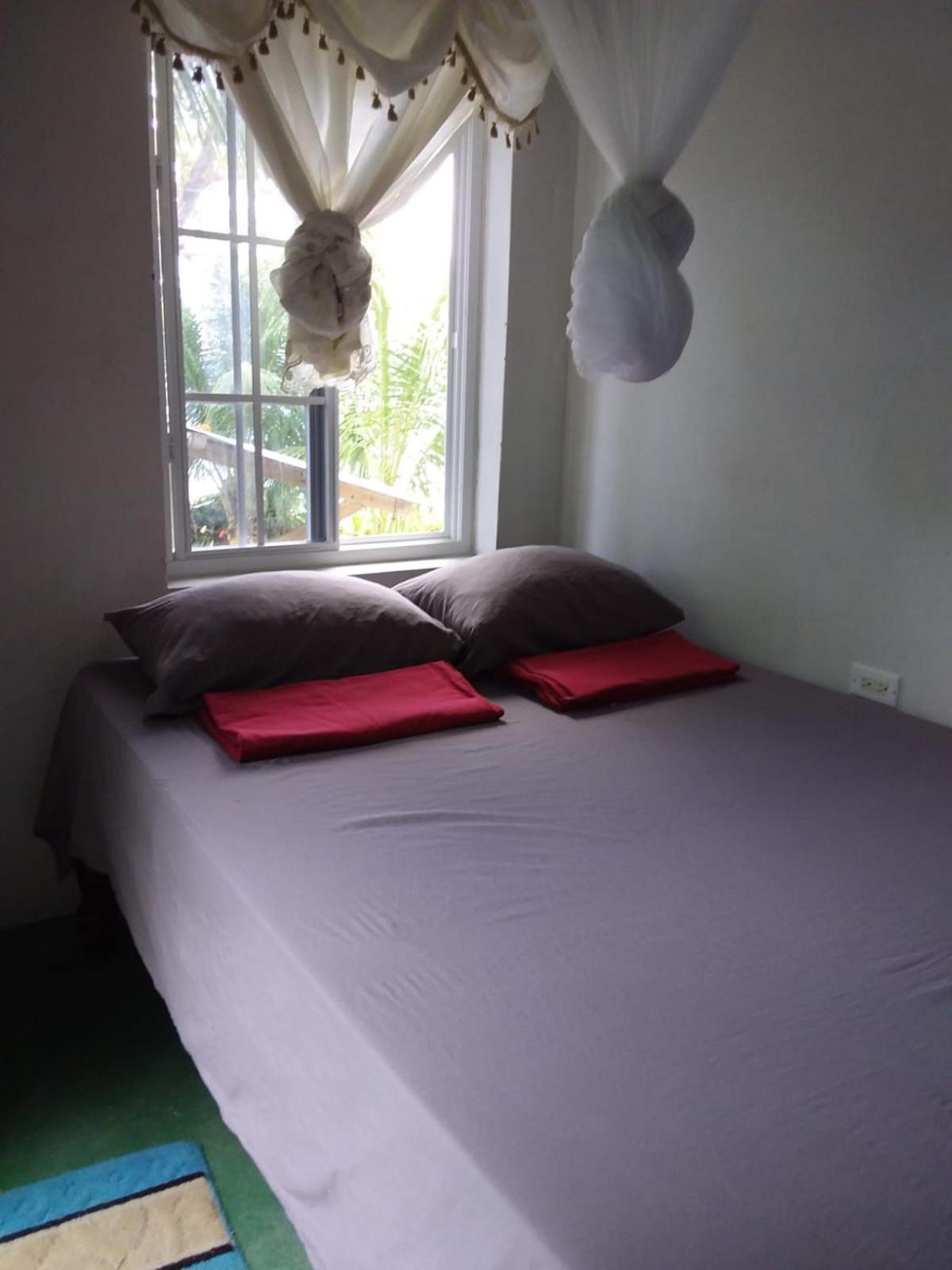 Port Antonio Brian'S Beach House 外观 照片