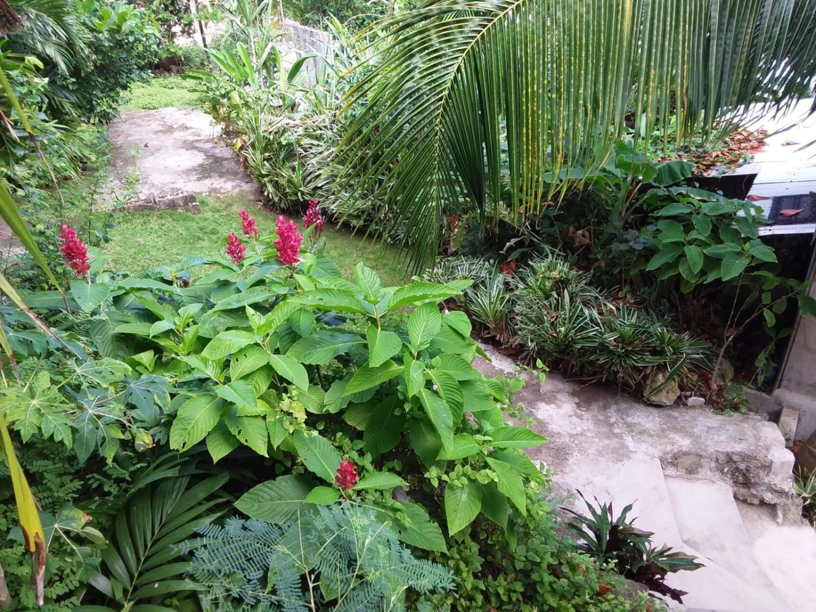Port Antonio Brian'S Beach House 外观 照片