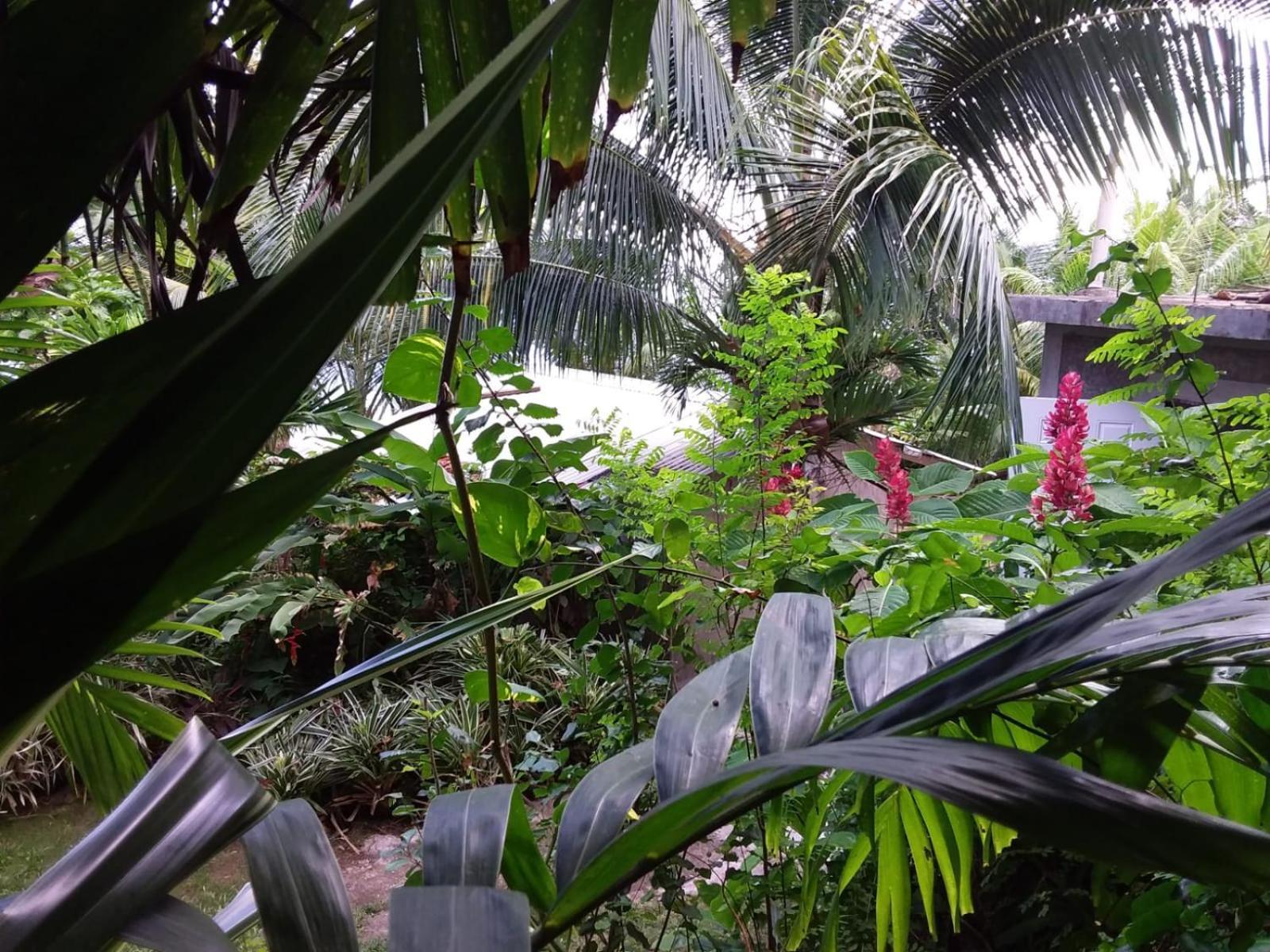 Port Antonio Brian'S Beach House 外观 照片