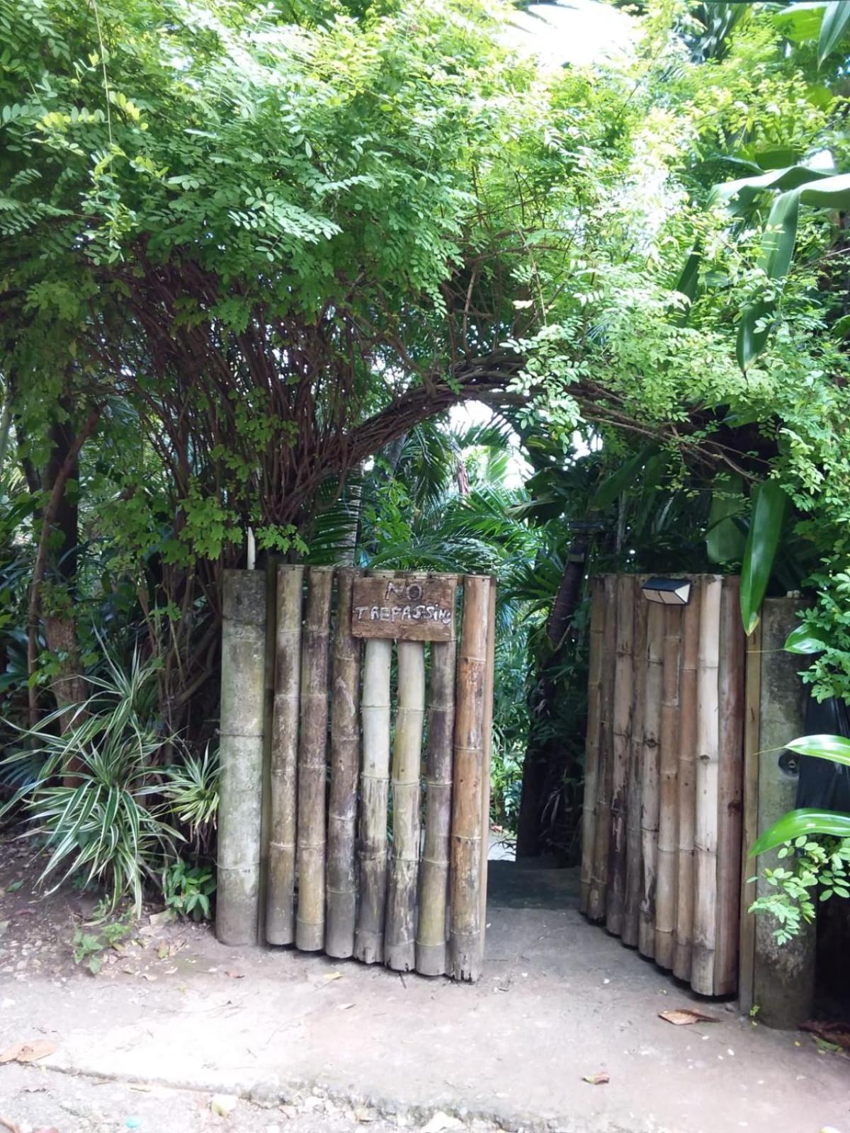 Port Antonio Brian'S Beach House 外观 照片