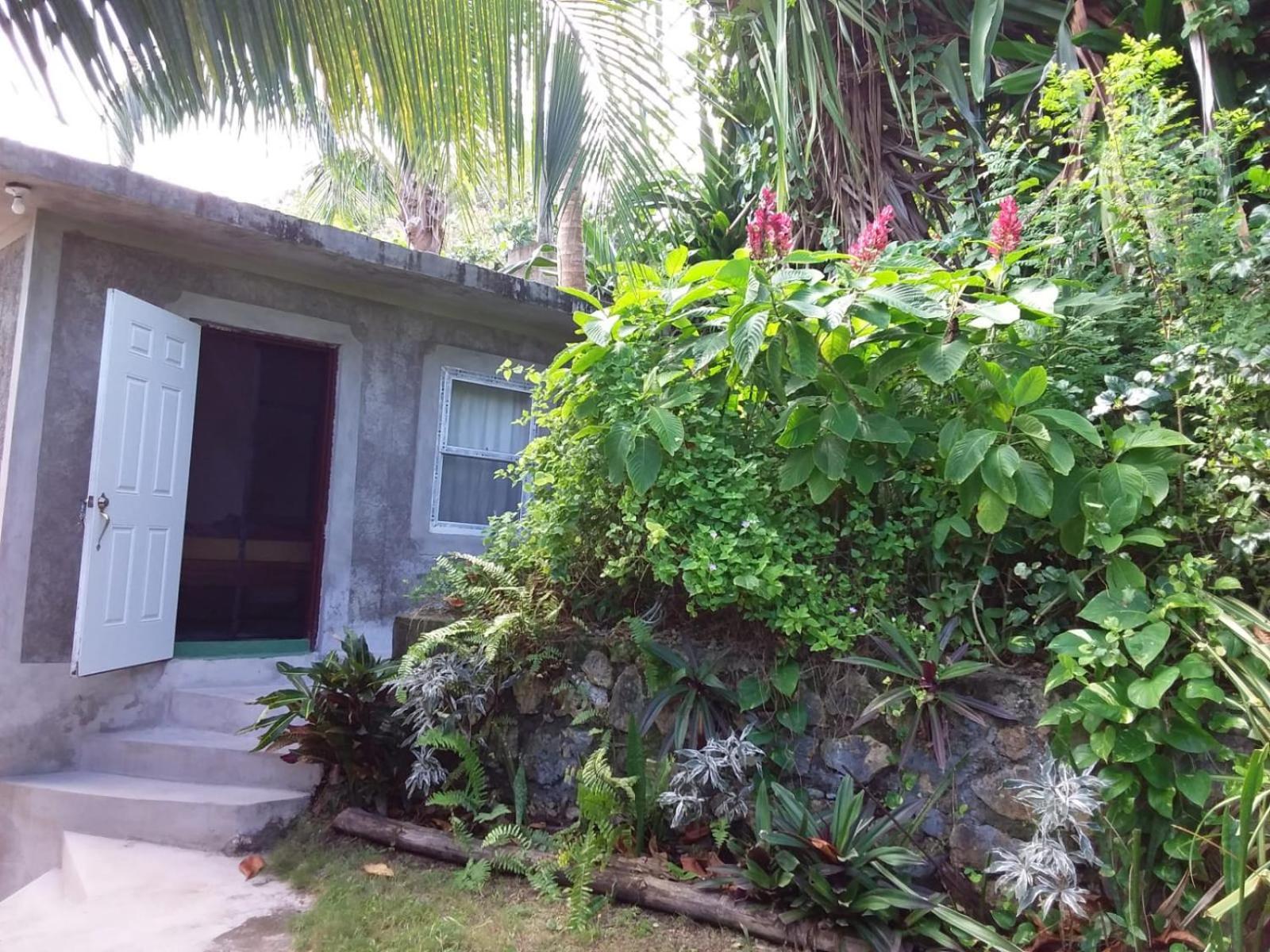 Port Antonio Brian'S Beach House 外观 照片
