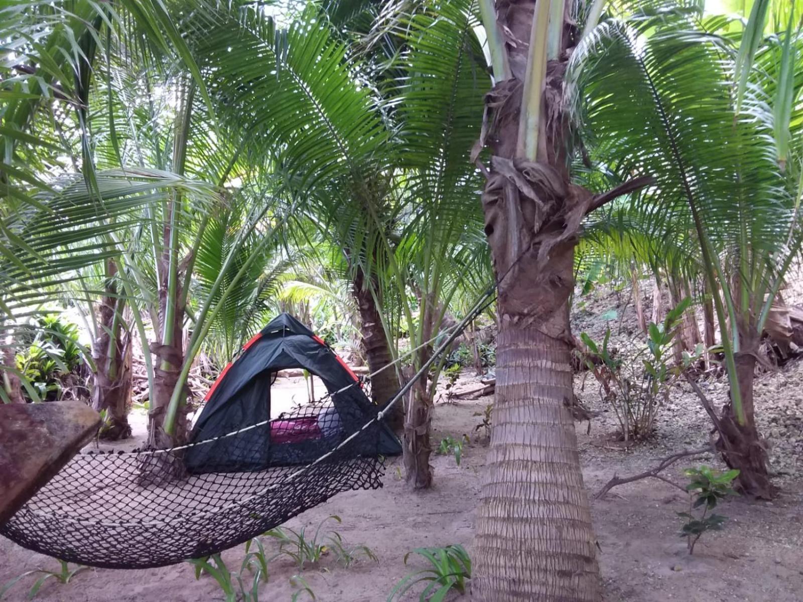 Port Antonio Brian'S Beach House 外观 照片