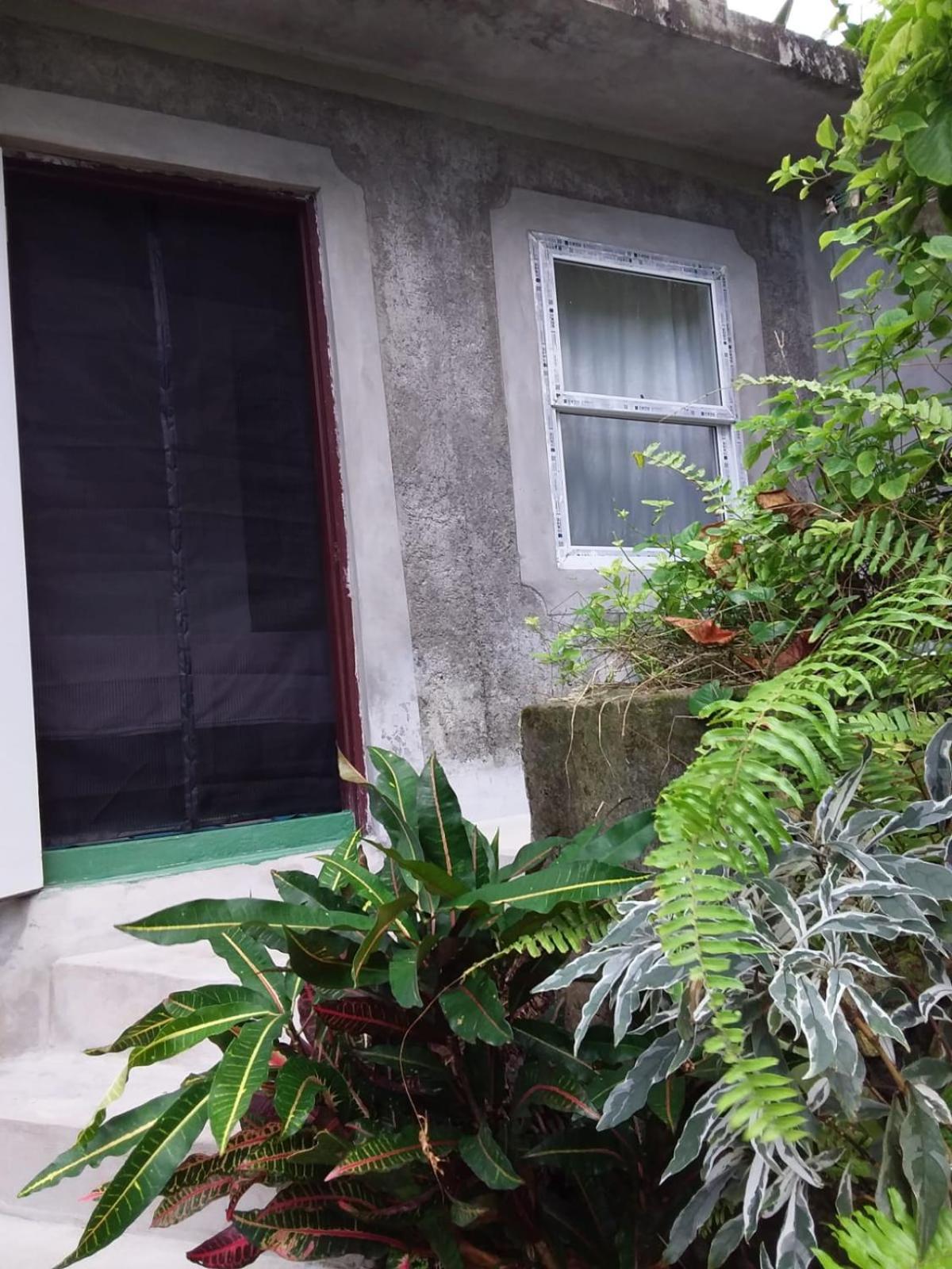 Port Antonio Brian'S Beach House 外观 照片