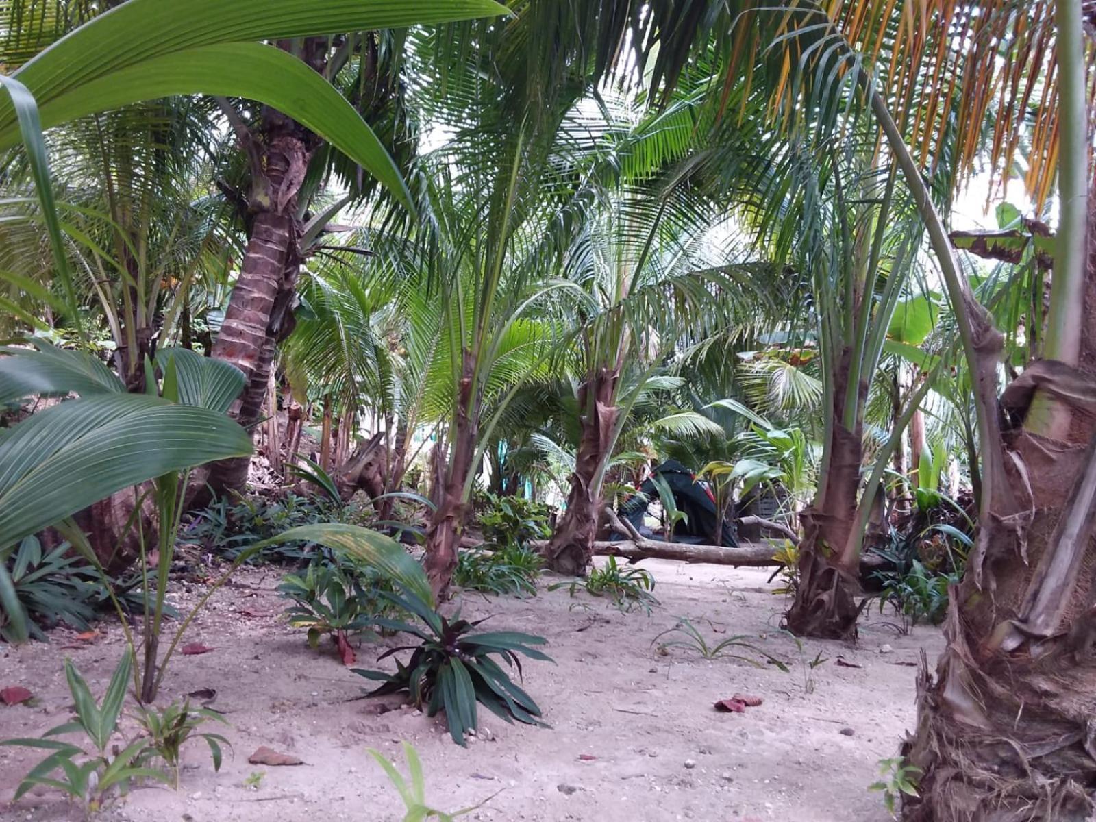 Port Antonio Brian'S Beach House 外观 照片
